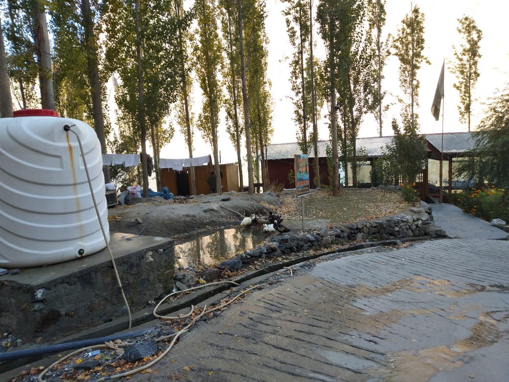 Pearl Huts