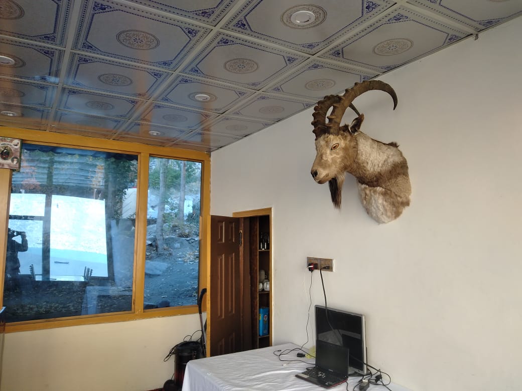 Pearl Huts and Resorts