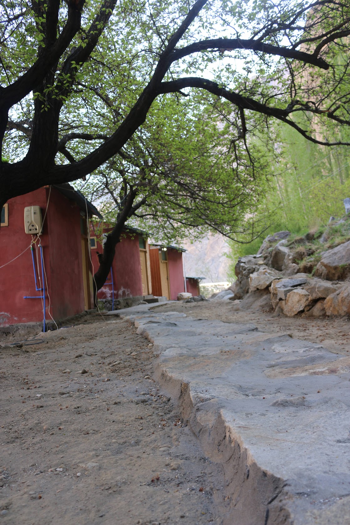 Pearl Huts